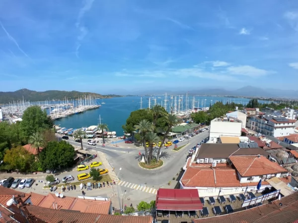 Fethiye Web Tasarım